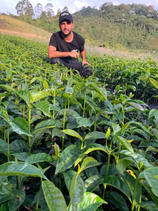 Kolumbien Popayan koffeinfrei