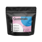 Guatemala Esperanza del Bosque Washed