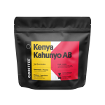 Kenya Kahunyo AB Washed