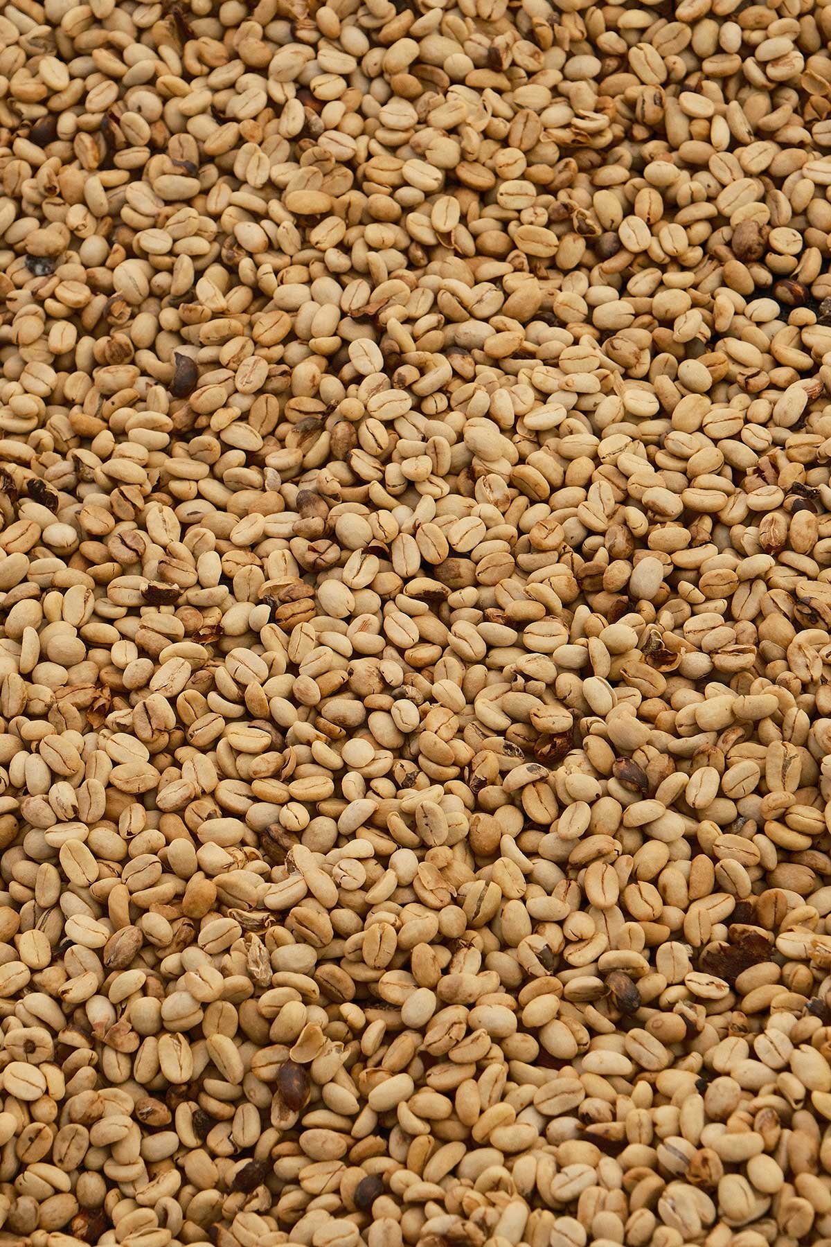 Colombia La Aldea Moisto Ferment – Obrázok 5